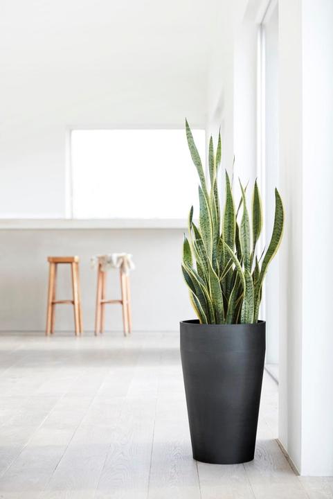 Actual product image Ecopots Sankara