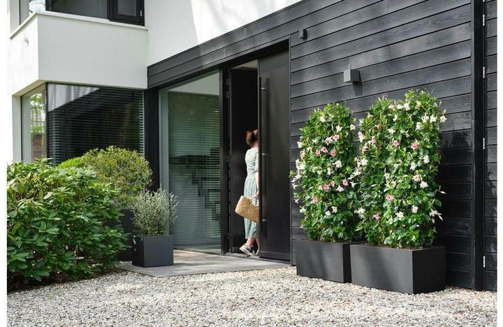 Produktbild Elho Vivo Next (39 x 40 x 39 cm)