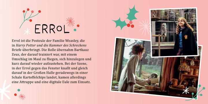 Produktbild Panini Harry Potter Magische Weihnachten