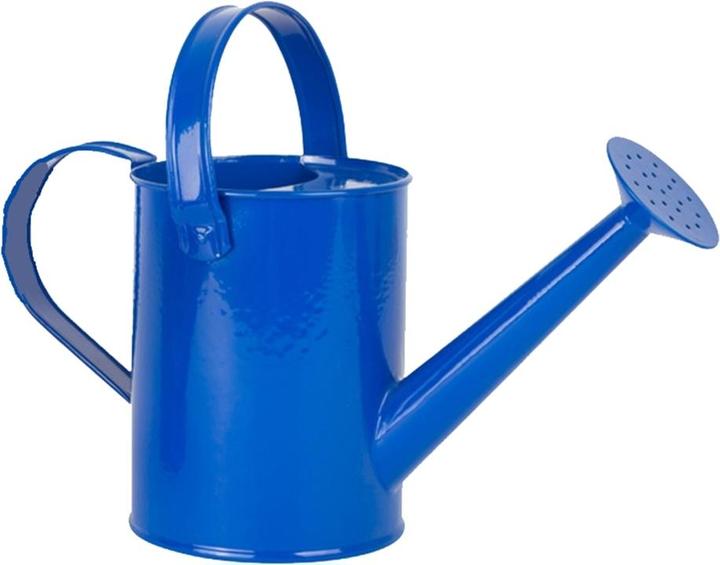 Actual product image small foot Tin watering cans for children