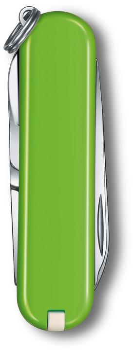 Image du produit Victorinox Cellidor