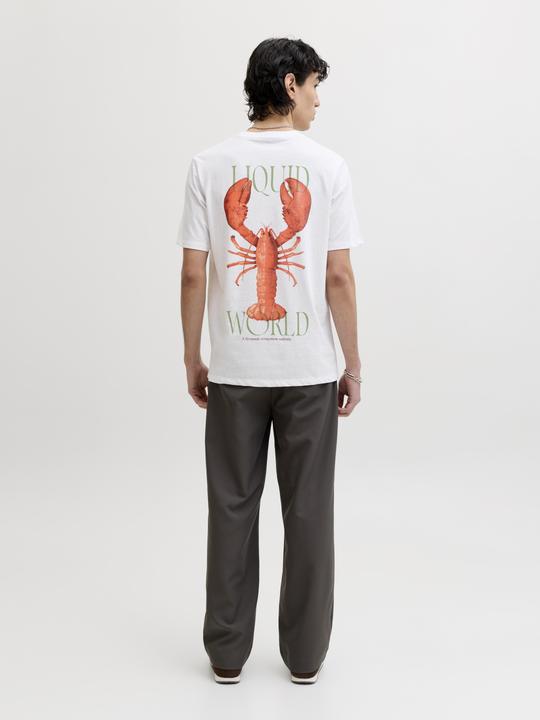 Produktbild Jack & Jones Jorocean Tee Ss Crew Neck Frss26 (M)