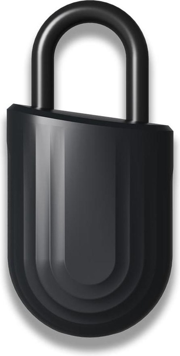 Actual product image Igloohome Padlock Lite, Fingerprint, Black