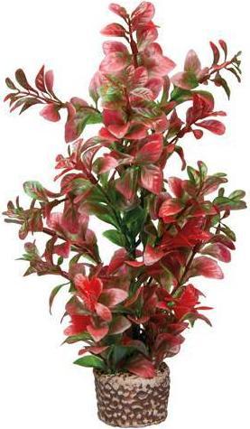 Produktbild Hobby Flora Stone 7 (Dekoration, Pflanzen)
