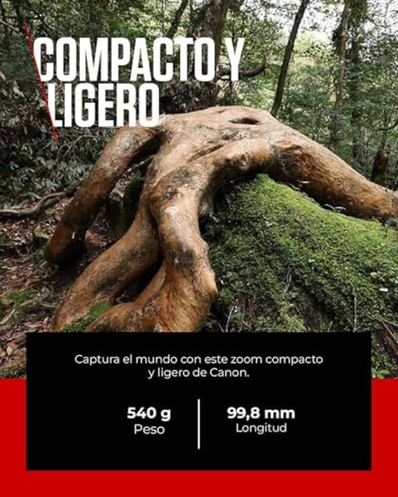 Produktbild Canon RF 14-35mm f/4L IS USM - (EU) (Canon RF, Vollformat)