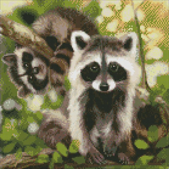 Ideyka Diamond Painting - Waschbären mit Rahmen 40 x 40 cm