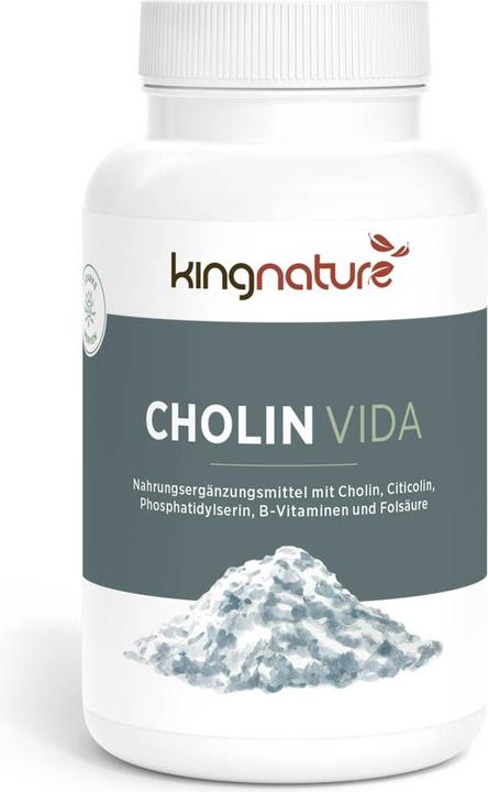 Produktbild Kingnature Probiotic Vida (1 Stück, Pulver, 90 g)
