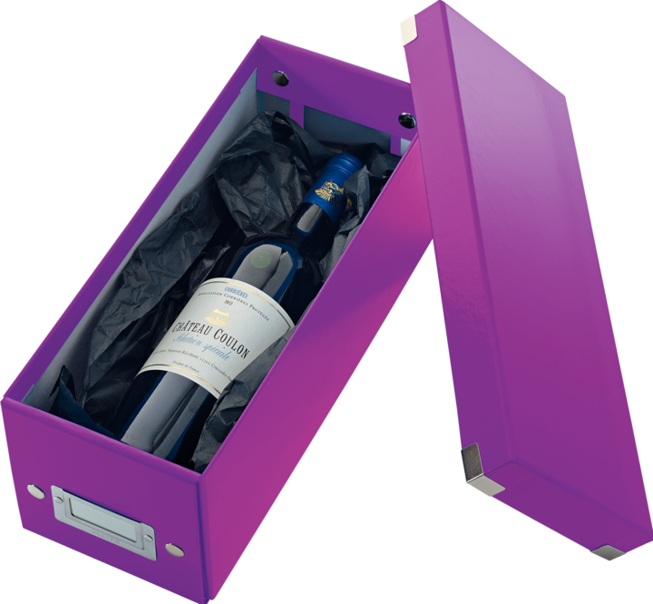 Actual product image Leitz WOW Click & Store CD storage box (Special)