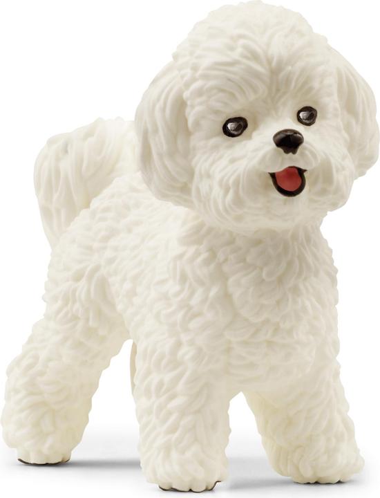 Immagine prodotto Schleich Bichon Frisé