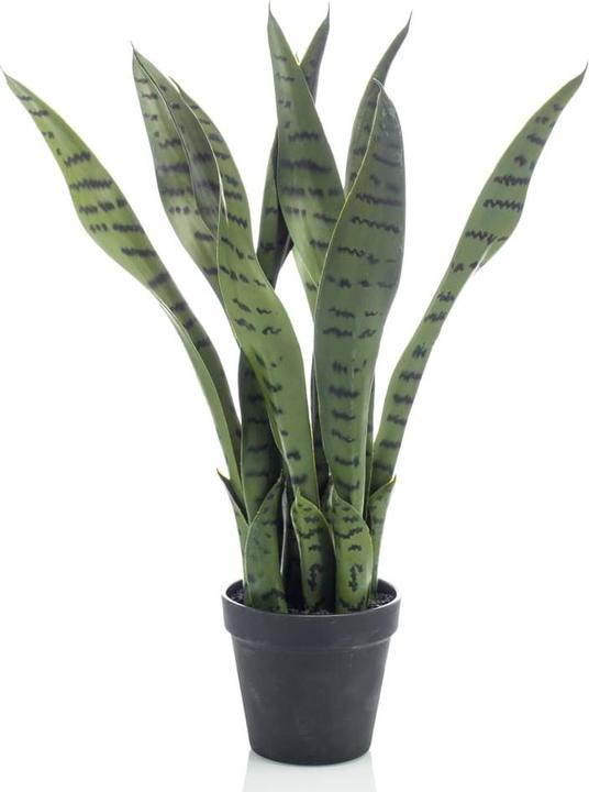 Immagine prodotto Emerald Pianta artificiale (55 cm)