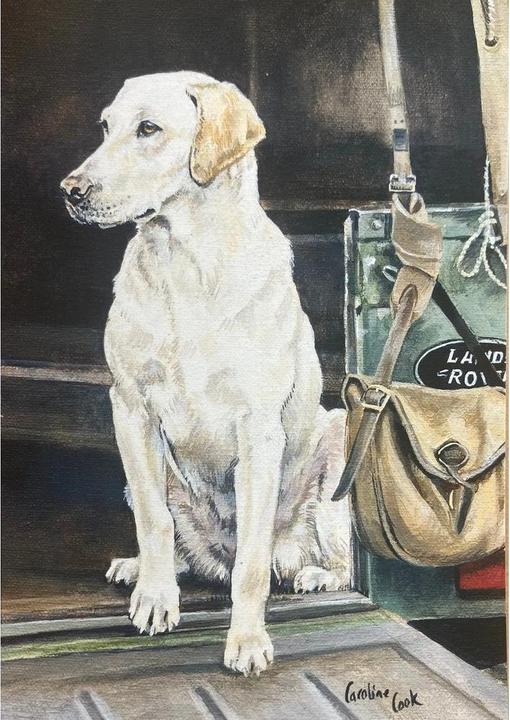 Actual product image Caroline Cook A Sporting Life Greetings Card (Pack of 10) (10 pcs.)