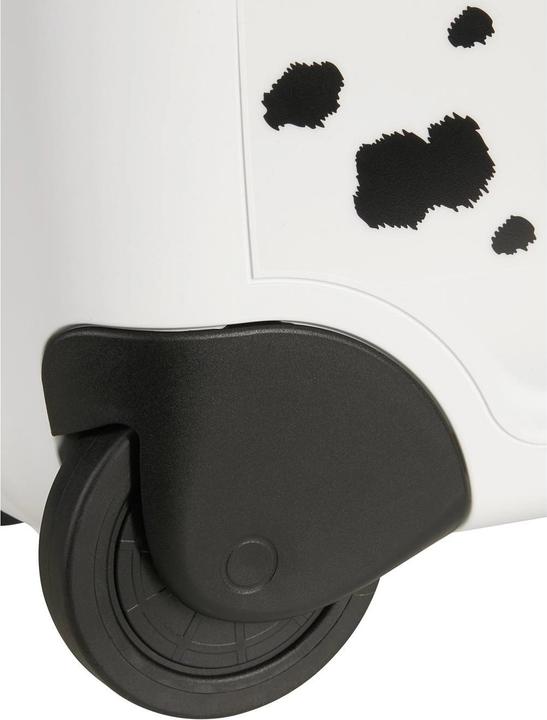 Actual product image Samsonite Trolley Dream2Go Rider (30 l)