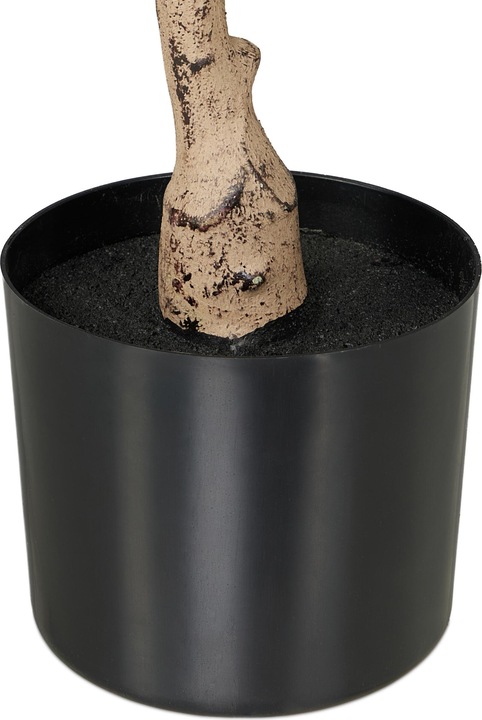 Immagine prodotto Relaxdays Albero d'ulivo (180 cm)