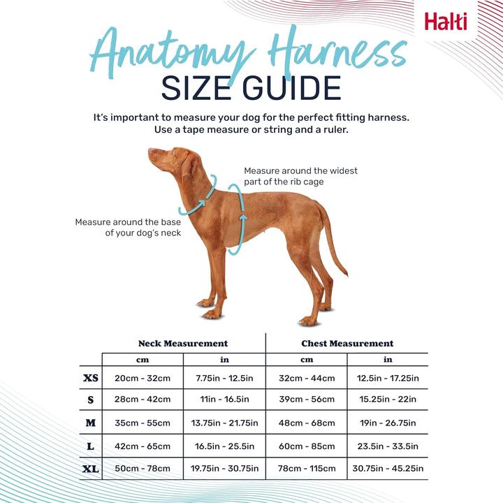 Produktbild Company of Animals Halti Anatomy M Hundegeschirr (M, Hund, Allgemein)