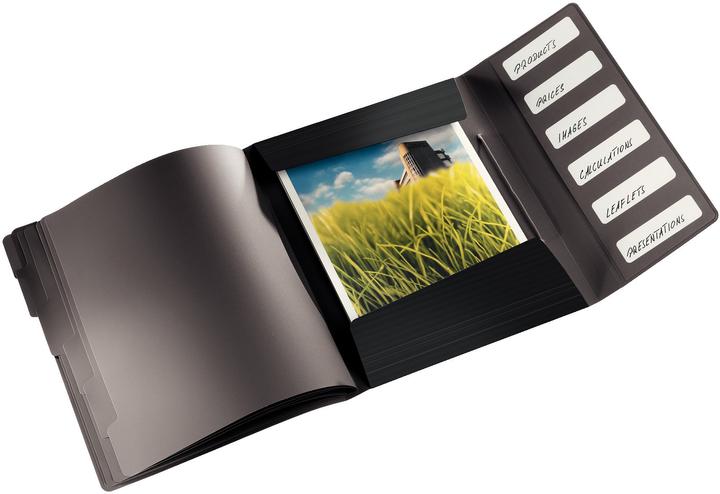 Actual product image Leitz Solid file folder (A4, 1x)