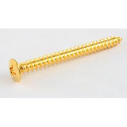 AllParts AP GS 0005-002 Schrauben f. Halspl. gold (Instrumenten Ersatzteile), Zubehör Instrumente, Gold
