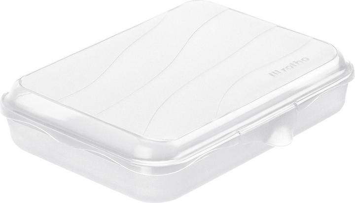 Actual product image Rotho Storage box