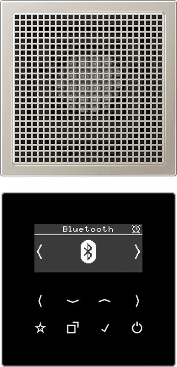 JUNG Smart Radio DABES1BT DAB+ m. Bluetooth-Set Mono (DAB+, FM, Bluetooth, WLAN)