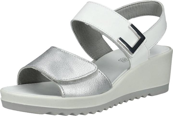 Silver/White