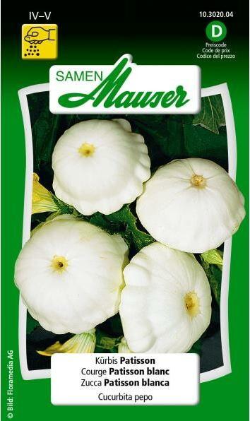 Actual product image Samen Mauser Kürbis Patisson (Vegetable seeds)