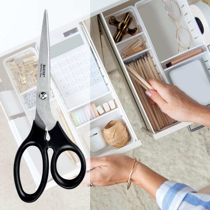 Actual product image Leitz Stainless Steel Scissor (20 cm)
