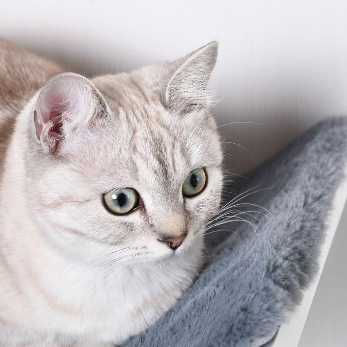 Image du produit Swisshandel24 Lit pour chat Étagère pour chat Chaise longue murale Revêtement en peluche MDF Blanc+Gris 41 x 28 x (Chat)