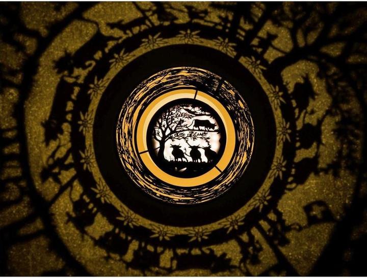 Actual product image STT Nova swissness, 29