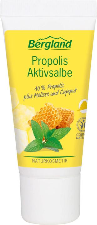 Immagine prodotto Bergland Unguento attivo alla propoli, 30 ml in saldo (30 ml)