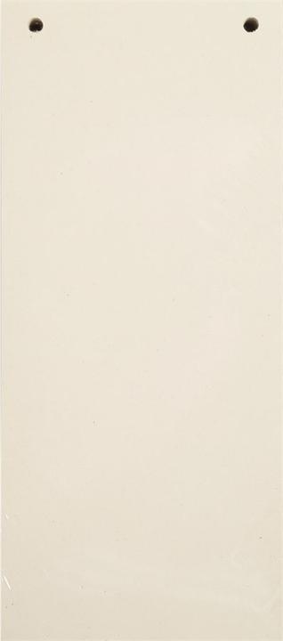 Exacompta Verdeelschotten 10,5 x 24 cm, 100 st. - beige
