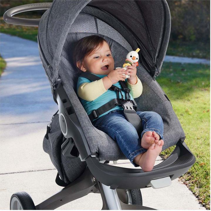 Actual product image Fisher-Price Clack & Quack Goose (3 Months)