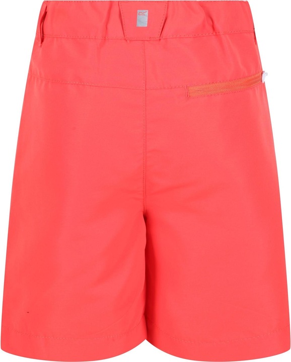 Actual product image Regatta Sorcer Ii Shorts (116)