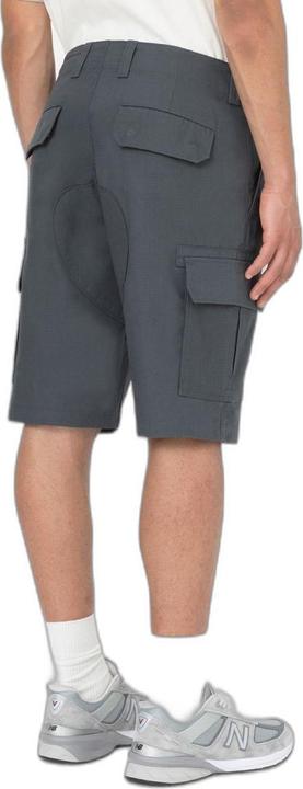 Produktbild Dickies Millerville Short (29)