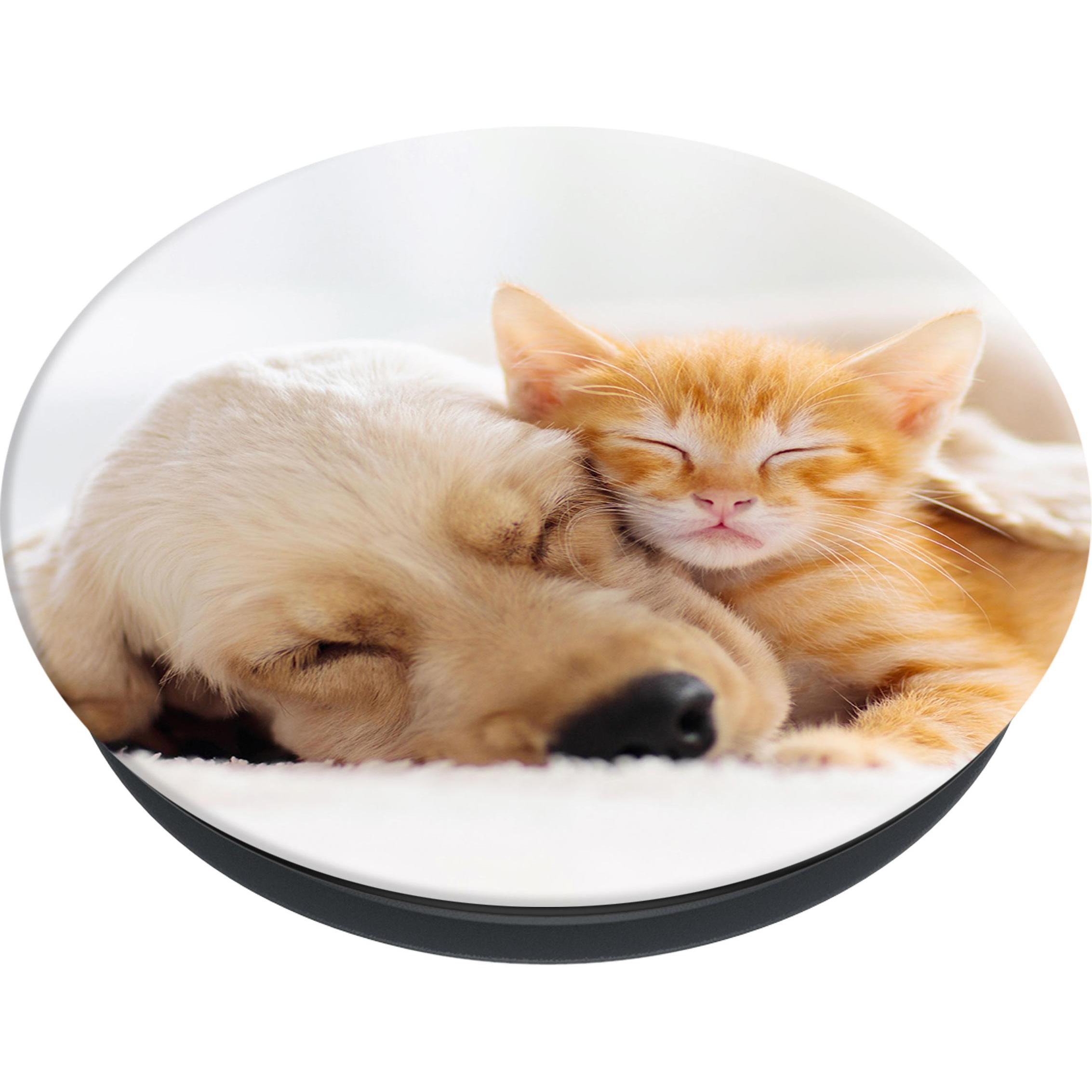 Thumbnail - PopSockets PopGrip Basic Cat & Dog, Smartphone Halterung, Mehrfarbig