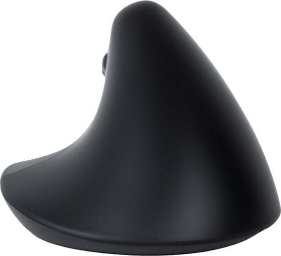 Image du produit FreeVoice Souris de bureau ergonomique (Sans fil)