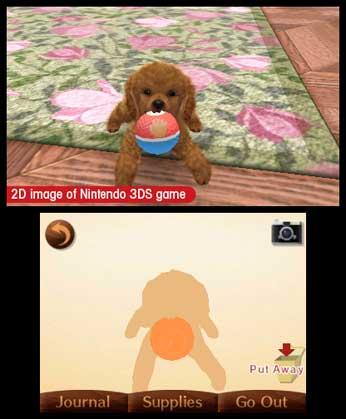 Actual product image Nintendo gs and Cats 3D Toy Poodle (Select) (3DS, EN)