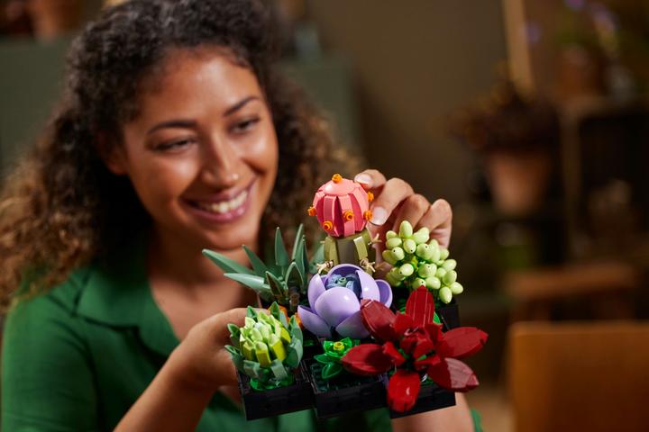 Image du produit LEGO Les succulentes (10309, LEGO Botanical, LEGO difficiles à trouver)
