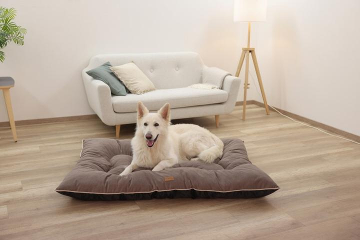 Produktbild Kerbl Liegekissen Benno (Hund)