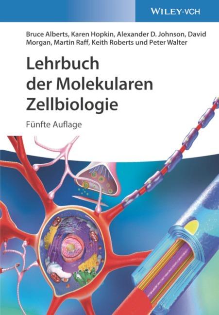 Produktbild Lehrbuch der Molekularen Zellbiologie (Deutsch, Keith Roberts, Bruce Alberts, Alexander D. Johnson, Karen Hopkin, Peter Walter, Martin Raff, 2021)