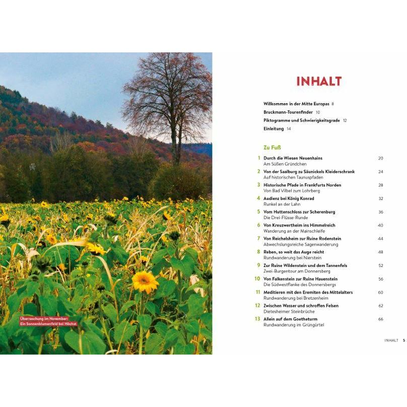 Thumbnail - Echt wild – Rhein-Main, Ratgeber von Holger Mathias Peifer