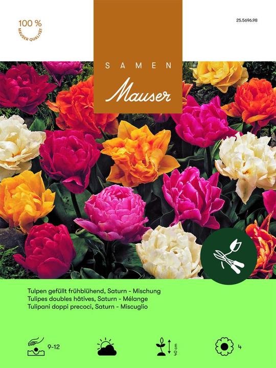 Produktbild Samen Mauser Tulpe Saturn Aktion (Blumensamen)