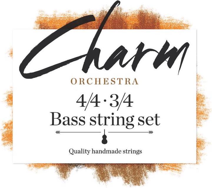 Actual product image Fortune Strings Charm Orchestra D 3/4 (1x, Contrabass)