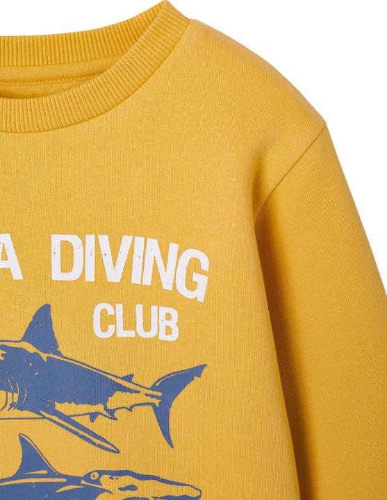 Image du produit Vertbaudet Sweatshirt Jungen mit Print BASIC (140)