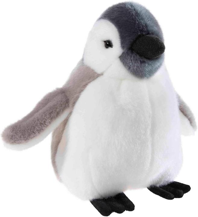 Actual product image Heunec 231474 - Misanimo Baby Pinguin, Plüschtier, 20cm (20 cm)