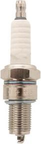 Actual product image Wortex Tiger T20070L