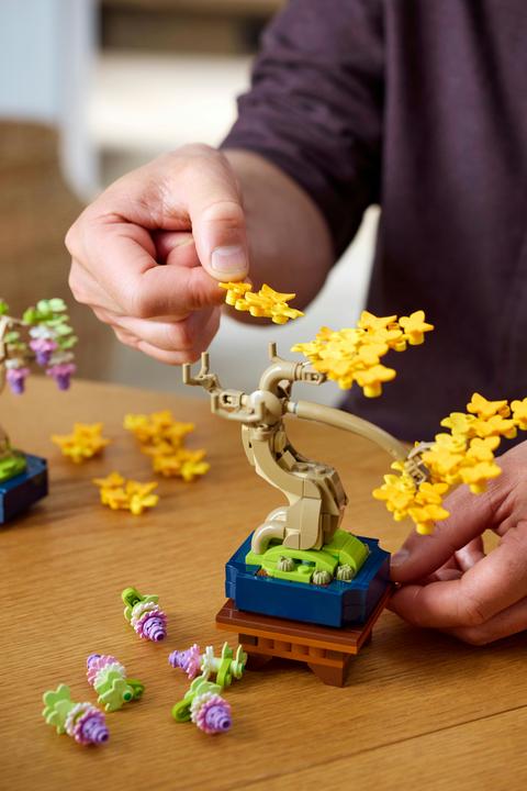 Produktbild LEGO Mini-Bonsais Set (10373, LEGO Botanical)