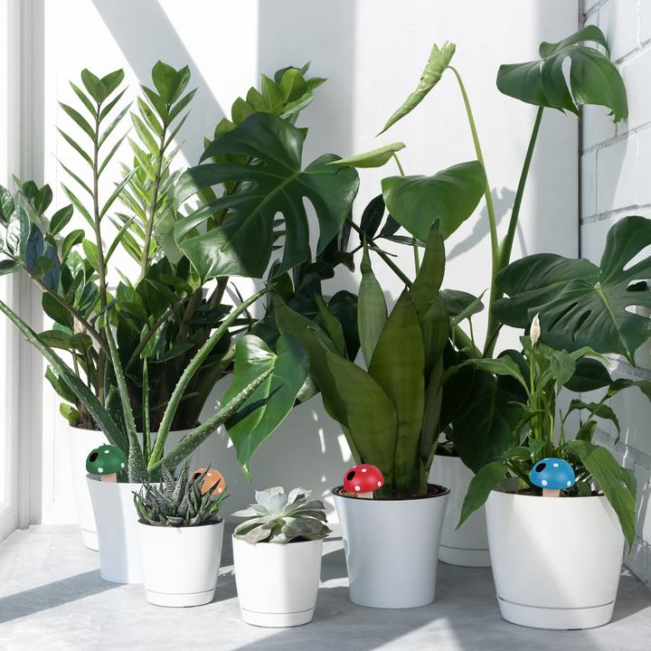 Produktbild Relaxdays 4x Tonkegel (Tonkegel)