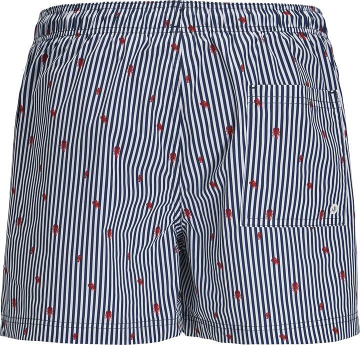 Produktbild Jack & Jones Jpstmaui Jjswim Mini Stripe Akm Sn (XS)