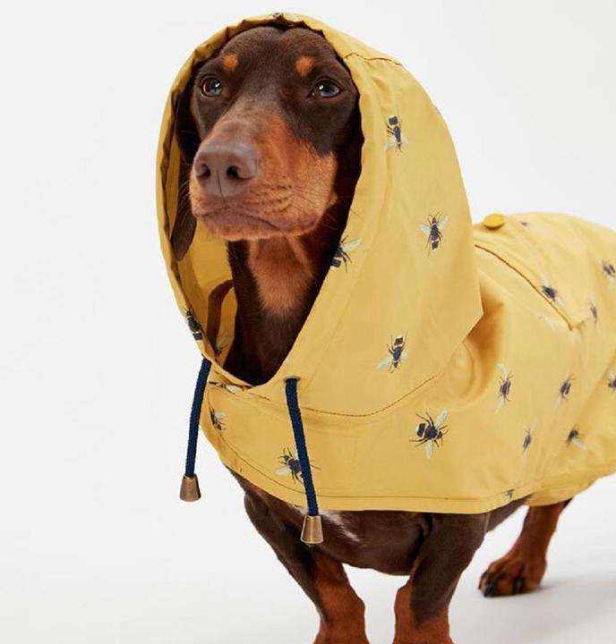 Image du produit Joules Manteau pour chien Golightly à plier (S, Manteau pour chien)