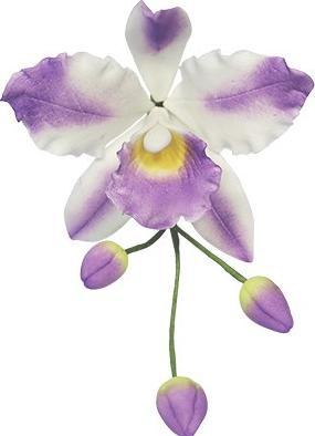 Produktbild PME Cattleya Orchid Flower/Petal