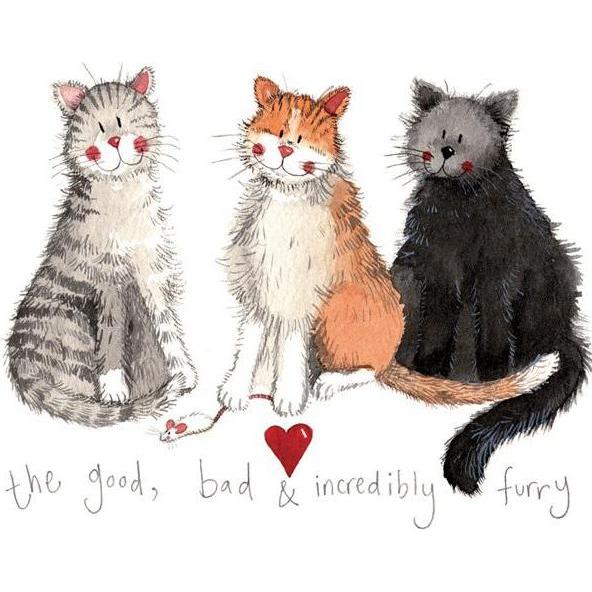 Teka, Magneti, Magnet FM30 3 Katzen